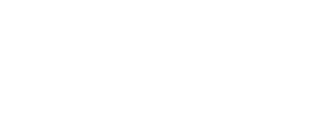 logo Do it in Paris